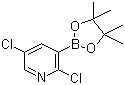 2,5-二氯吡啶-3-硼酸频哪醇酯分子结构 (CAS 1073371-98-8)