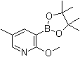 2-Methoxy-5-methylpyridine-3-boronic acid pinacol ester molecular structure (CAS 1083168-84-6)