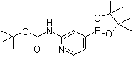 2-(叔丁氧羰基氨基)吡啶-4-硼酸频哪醇酯分子结构 (CAS 1095708-32-9)