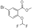 5-Bromo-2-(difluoromethoxy)benzoic acid methyl ester molecular structure (CAS 1131587-78-4)