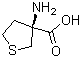 (S)-3-Aminotetrahydrothiophene-3-carboxylic acid molecular structure (CAS 114715-53-6)