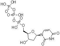 脱氧尿苷 5'-三磷酸酯分子结构 (CAS 1173-82-6)