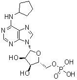N-环戊基-5'-腺苷酸分子结构 (CAS 117778-38-8)