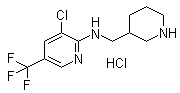 3-Chloro-N-(3-piperidinylmethyl)-5-(trifluoromethyl)-2-pyridinamine hydrochloride molecular structure (CAS 1185319-70-3)