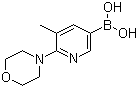 B-[5-Methyl-6-(4-morpholinyl)-3-pyridinyl]boronic acid molecular structure (CAS 1191062-85-7)