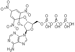 2',3'-O-(2,4,6-三硝基-2,5-环己二烯-1-亚基)腺苷 5'-(三磷酸四氢酯)分子结构 (CAS 120360-48-7)