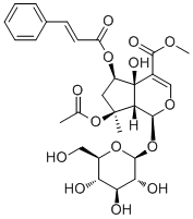 6-O-trans-Cinnamoylphlorigidoside B分子结构 (CAS 1246012-25-8)