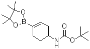 tert-Butyl [4-(4,4,5,5-tetramethyl-1,3,2-dioxaborolan-2-yl)cyclohex-3-enyl]carbamate molecular structure (CAS 1251732-64-5)