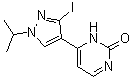 6-[3-Iodo-1-(1-methylethyl)-1H-pyrazol-4-yl]-2(1H)-pyrimidinone molecular structure (CAS 1269440-57-4)