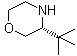 (3R)-3-叔丁基吗啉分子结构 (CAS 1286768-66-8)