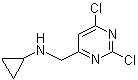 2,6-二氯-N-环丙基-4-嘧啶甲胺分子结构 (CAS 1289387-98-9)