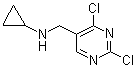 2,4-Dichloro-N-cyclopropyl-5-pyrimidinemethanamine molecular structure (CAS 1289388-21-1)