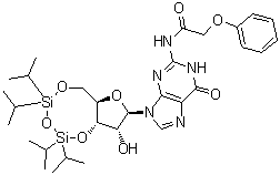 N-(Phenoxyacetyl)-3',5'-O-[1,1,3,3-tetrakis(1-methylethyl)-1,3-disiloxanediyl]guanosine molecular structure (CAS 131474-72-1)