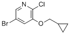 5-溴-2-氯-3-(环丙基甲氧基)吡啶分子结构 (CAS 1352902-34-1)