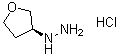 [(3S)-Tetrahydro-3-furanyl]hydrazine hydrochloride molecular structure (CAS 1364632-45-0)