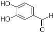 3,4-Dihydroxybenzaldehyde molecular structure (CAS 139-85-5)