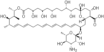 制霉菌素分子结构 (CAS 1400-61-9)