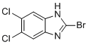 2-溴-5,6-二氯-1H-苯并咪唑分子结构 (CAS 142356-40-9)