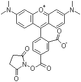 5-羧基四甲基罗丹明琥珀酰亚胺酯分子结构 (CAS 150810-68-7)