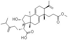 Poricoic acid AM molecular structure (CAS 151200-92-9)