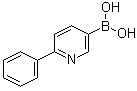 2-Phenylpyridine-5-boric acid molecular structure (CAS 155079-10-0)