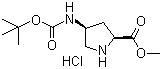 (2S,4S)-4-叔丁氧基羰基氨基吡咯烷-2-羧酸甲酯盐酸盐分子结构 (CAS 168263-82-9)