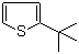 2-叔丁基噻吩分子结构 (CAS 1689-78-7)