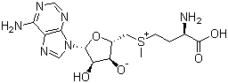 S-腺苷蛋氨酸分子结构 (CAS 17176-17-9)