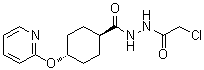 trans-4-(2-Pyridinyloxy)cyclohexanecarboxylic acid 2-(2-chloroacetyl)hydrazide molecular structure (CAS 1784753-93-0)
