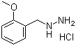 [(2-Methoxyphenyl)methyl]hydrazine hydrochloride molecular structure (CAS 179110-14-6)