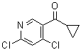 Cyclopropyl(4,6-dichloropyridin-3-yl)methanonethanone molecular structure (CAS 1863098-74-1)