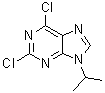 2,6-二氯-9-异丙基-9H-嘌呤分子结构 (CAS 203436-45-7)