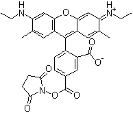 5-羧基罗丹明 6G 琥珀酰亚胺酯分子结构 (CAS 209112-21-0)
