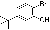 2-溴-5-叔丁基苯酚分子结构 (CAS 20942-68-1)