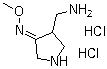 4-(Aminomethyl)-3-pyrrolidinone O-methyloxime hydrochloride molecular structure (CAS 215229-16-6)