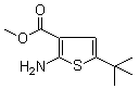 5-叔丁基-2-氨基噻吩-3-羧酸甲酯分子结构 (CAS 216574-71-9)