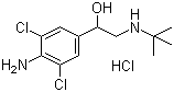 盐酸克仑特罗分子结构 (CAS 21898-19-1)