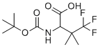 2-((Tert-butoxycarbonyl)amino)-4,4,4-trifluoro-3,3-dimethylbutanoic acid molecular structure (CAS 2242426-49-7)