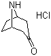 去甲托品酮盐酸盐分子结构 (CAS 25602-68-0)