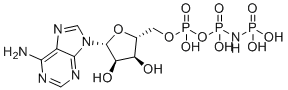 磷酰氨基膦酸-腺苷酸酯分子结构 (CAS 25612-73-1)