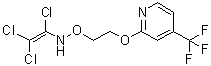 1,2,2-三氯-N-[2-[[4-(三氟甲基)-2-吡啶基]氧基]乙氧基]乙烯胺分子结构 (CAS 257284-78-9)