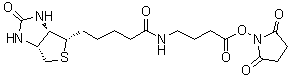 (3aS,4S,6aR)-N-[4-[(2,5-二氧代-1-吡咯烷基)氧基]-4-氧代丁基]六氢-2-氧代-1H-噻吩并[3,4-d]咪唑-4-戊酰胺分子结构 (CAS 258289-54-2)