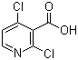 2,4-二氯烟酸分子结构 (CAS 262423-77-8)