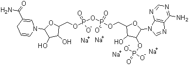 二氢烟酰胺腺嘌呤二核苷磷酸四钠分子结构 (CAS 2646-71-1)