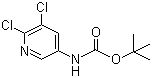 (5,6-二氯吡啶-3-基)氨基甲酸叔丁酯分子结构 (CAS 275383-96-5)