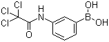 3-(2,2,2-Trichloroacetamido)phenylboronic acid molecular structure (CAS 276669-74-0)