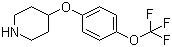 4-(4-三氟甲氧基苯氧基)哌啶分子结构 (CAS 28033-37-6)