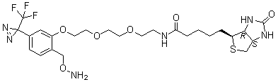 (3aS,4S,6aR)-N-[2-[2-[2-[2-[(氨基氧基)甲基]-5-[3-(三氟甲基)-3H-双吖丙啶-3-基]苯氧基]乙氧基]乙氧基]乙基]六氢-2-氧代-1H-噻吩并[3,4-d]咪唑-4-戊酰胺分子结构 (CAS 308085-26-9)
