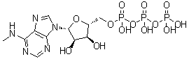 N6-单甲基腺苷 5'-三磷酸酯分子结构 (CAS 3130-39-0)