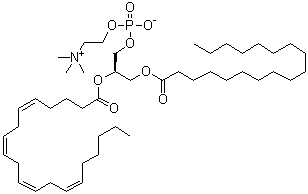 1-硬脂酰-2-花生四烯酰基-sn-甘油-3-磷酰胆碱分子结构 (CAS 35418-59-8)